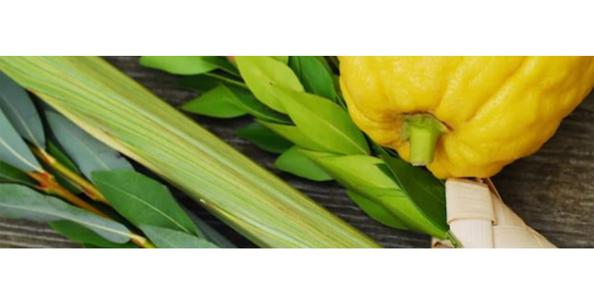 Sukkot